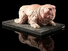 EVOLUTION - Cutie Pie Maquette