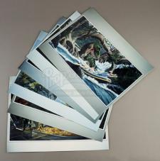 JURASSIC PARK - Early Key Art Prints