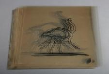 JURASSIC PARK - Hand-Drawn Ostrich Acetate Cels
