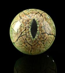 JURASSIC PARK - Velociraptor Reference Eye