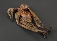 S2E02 - Verbis Diablo: Dead Bird Relic