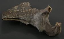 S2E02 - Verbis Diablo: Pelvic Bone Relic