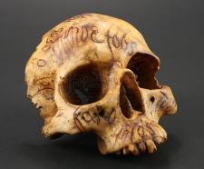 S2E02 - Verbis Diablo: Skull Relic