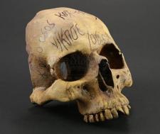 S2E04 - Evil Spirits in Heavenly Places: Skull Relic