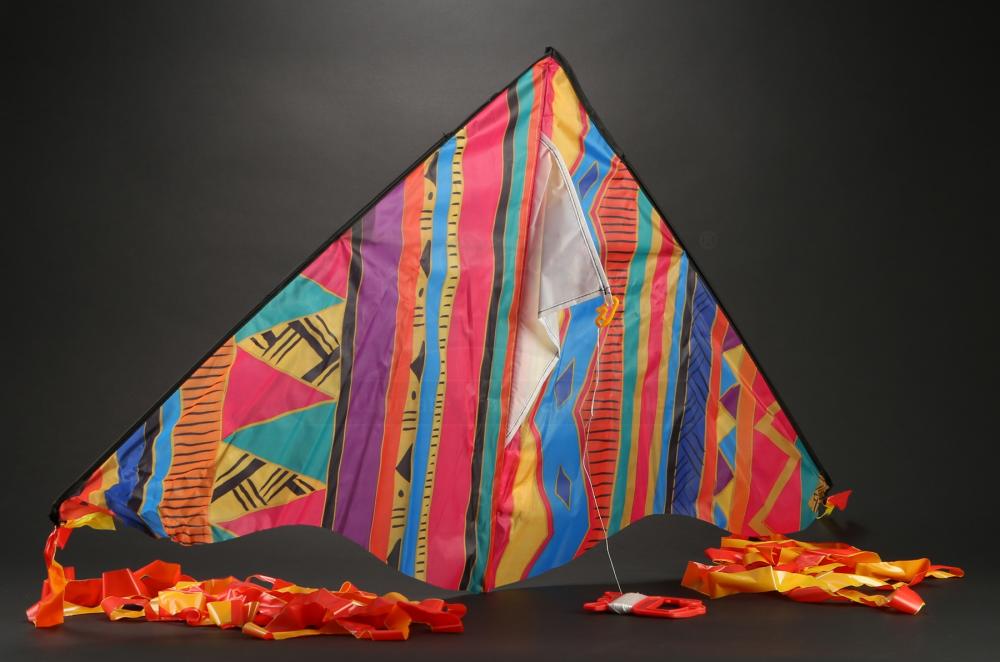 Terminator Genisys Young Kyle's (Bryant Prince) Flashback Kite